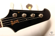 Burny Thunderbird Bass