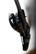Aria Pro II RS Wildcat, Japan