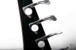 Fernandes PJ Limited Edition, Japan