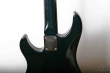 Fernandes PJ Limited Edition, Japan